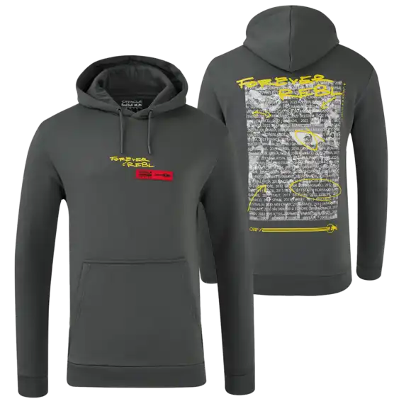 Red Bull Racing Truien – S – 20th Anniversary Hoodie – Grijs – Max Verstappen | Verstappen.com