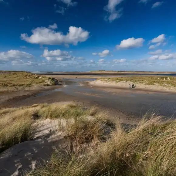 Landal Ameland State | vakantiehuis Ameland | Landal