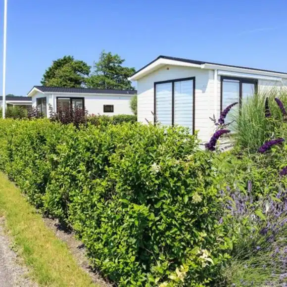 Comfort 4 personen | vakantiehuis Zandvoort | Interhome